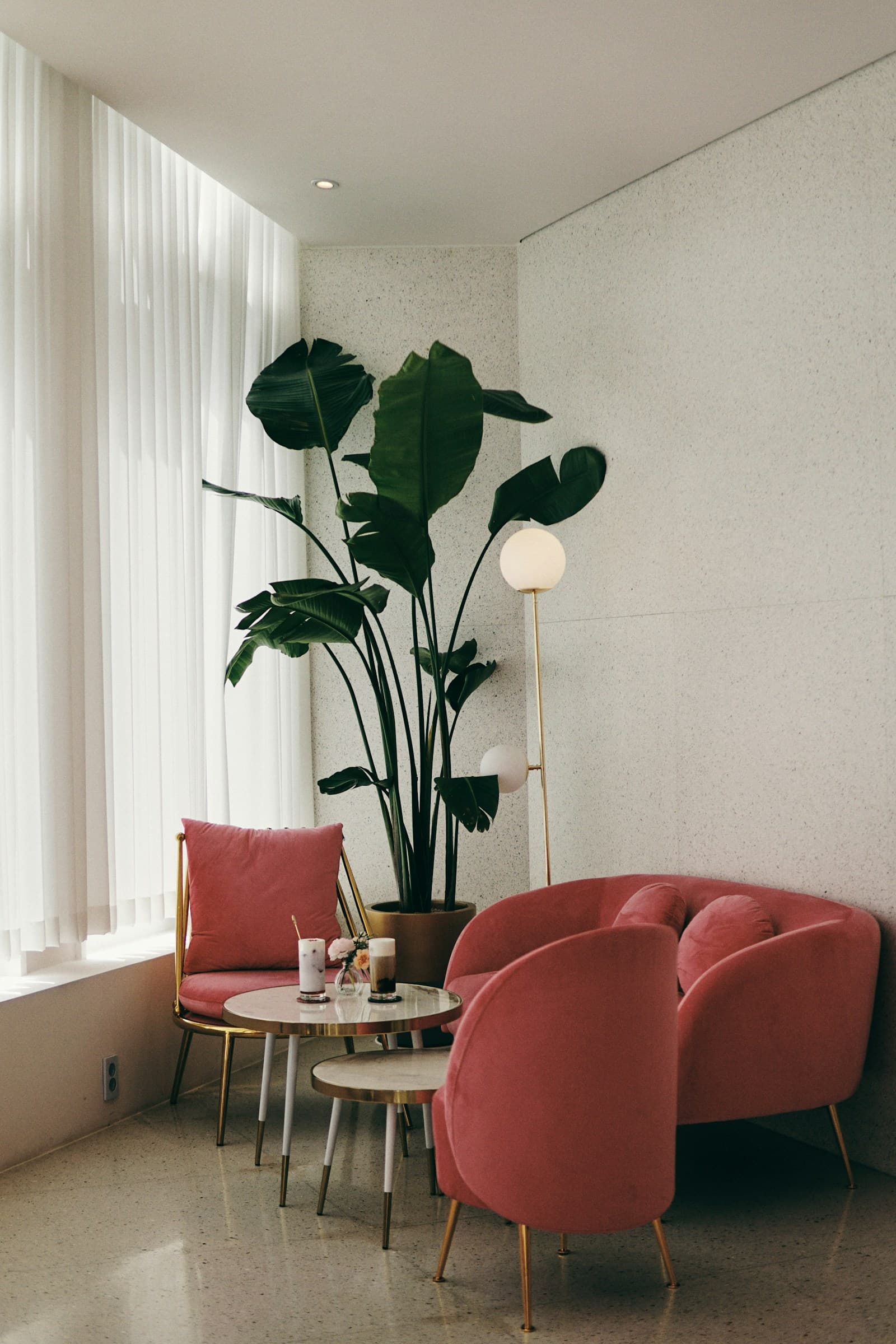 Lounge luminos cu fotolii din catifea roz și plante